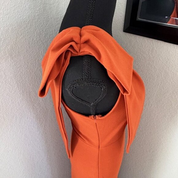 NWT PRETTY GARDEN Burnt Orange Long One Shoulder Formal Dress Small - Picture 9 of 16